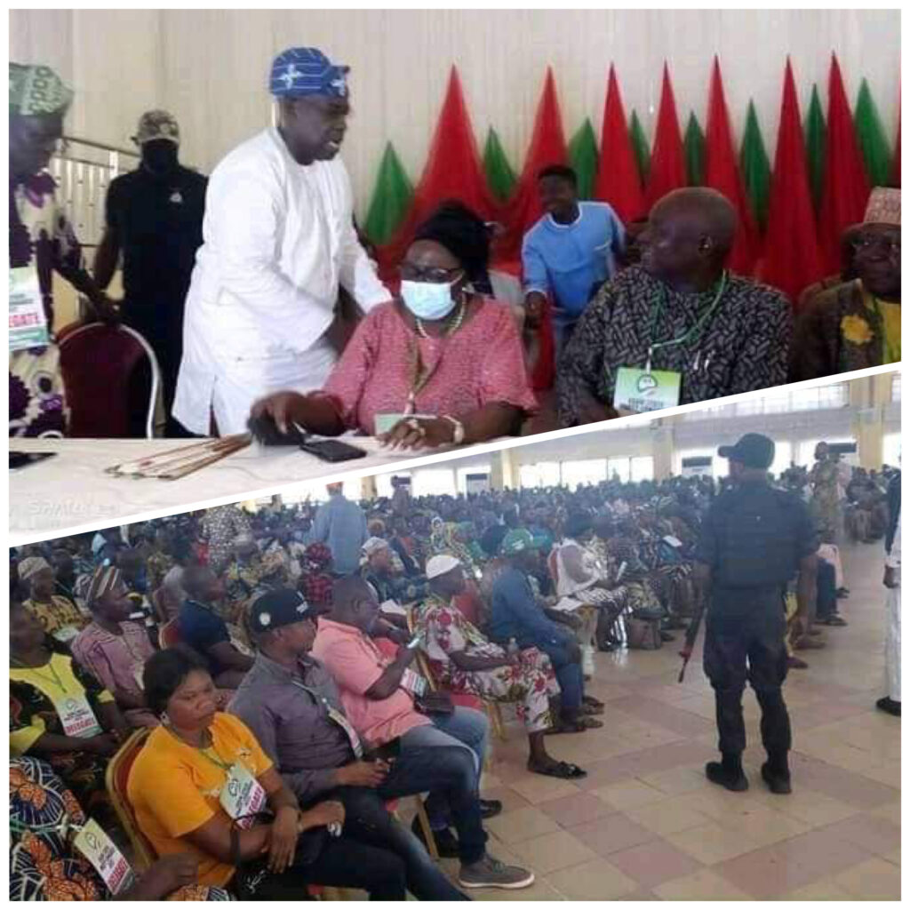 Oyinlola, Ex-Defence Minister, Others Oppose Adeleke; Back Dotun Babayemi