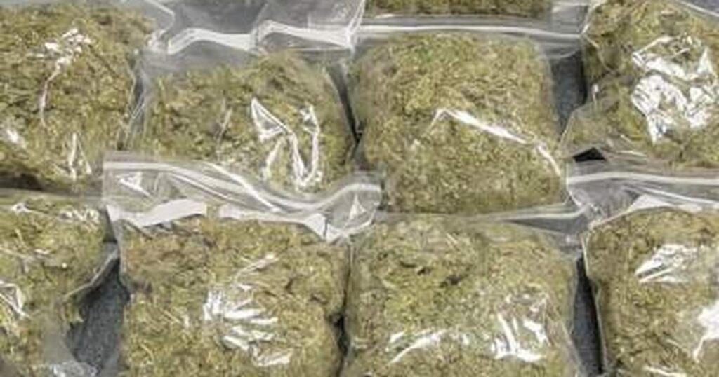 19 Year Old Arraigned Over Wandering, Hemp Possession