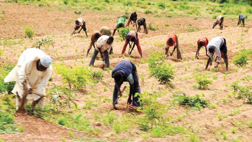 Early Rains: Don’t Rush to Plant; Expert Cautions Farmers