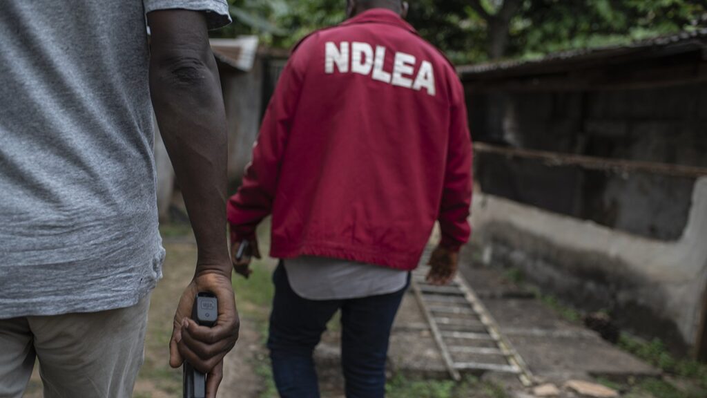 NDLEA Confirms Arrest of 99 Suspects, Seizes 7,889kg Drugs in Ogun