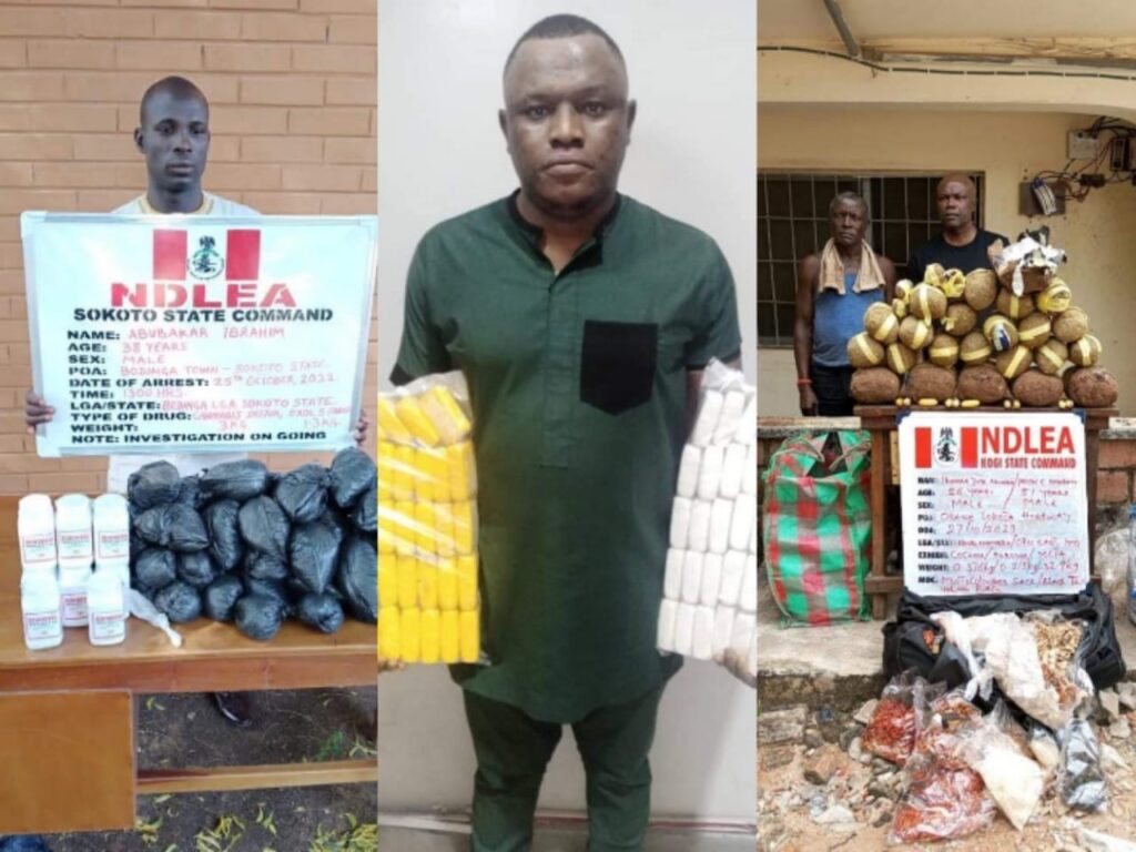 NDLEA Arrests Sokoto Village Head,10 Others