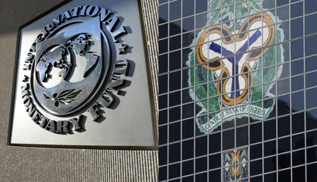 IMF Intervenes in Nigeria’s Cash Swap Crisis