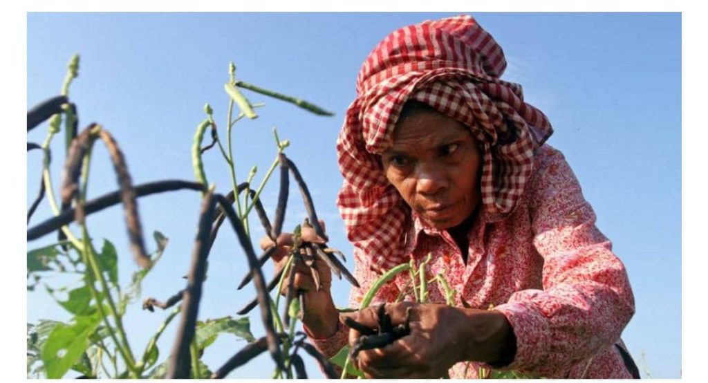 UN report warns of global economic decline