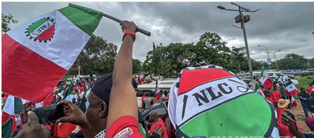 There Are Plans By Govt to Attack Us Over Nationwide Protests – NLC