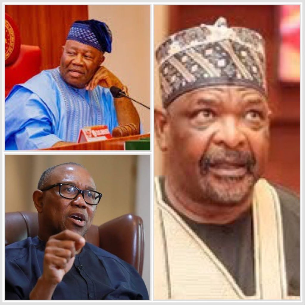 Suspending Ningi Doesn’t Address Budget Padding- Peter Obi