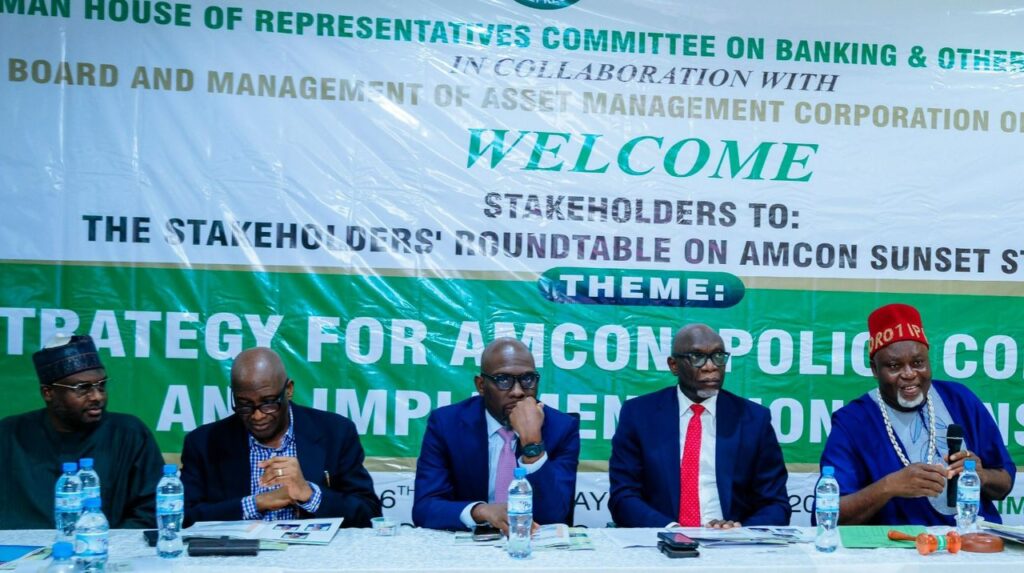 Why AMCON’s Exit must not be Viewed as Simple Administrative Closure-Lawmakers