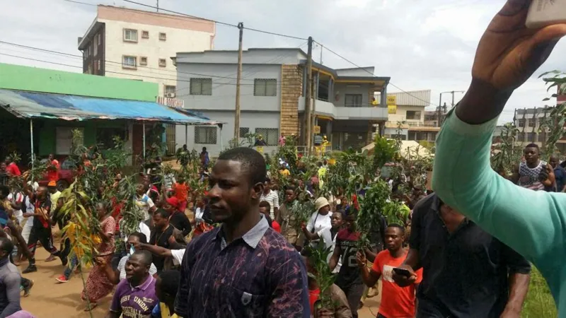 Cameroon