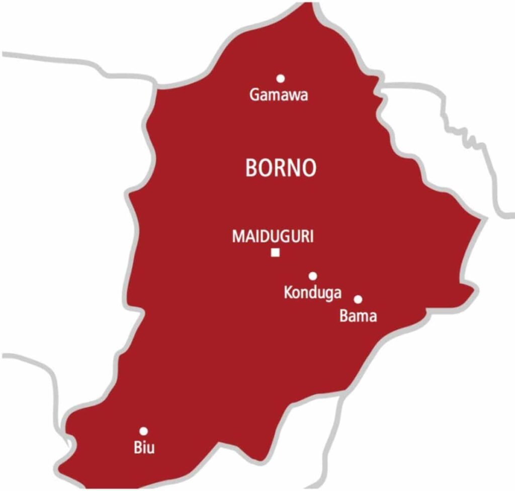 Borno Youths Deny Christian Genocide in State
