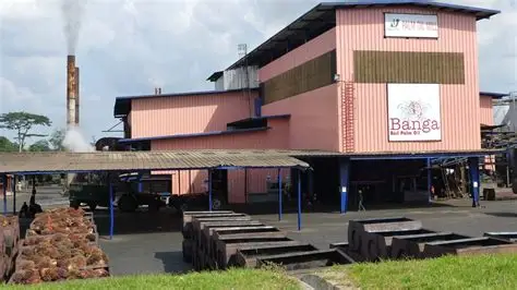 Okomu Oil Declares N30 Interim Dividend