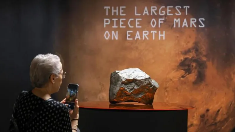Mars Rock Found in Niger Sells for Millions in New York- Now the Country Wants Answers