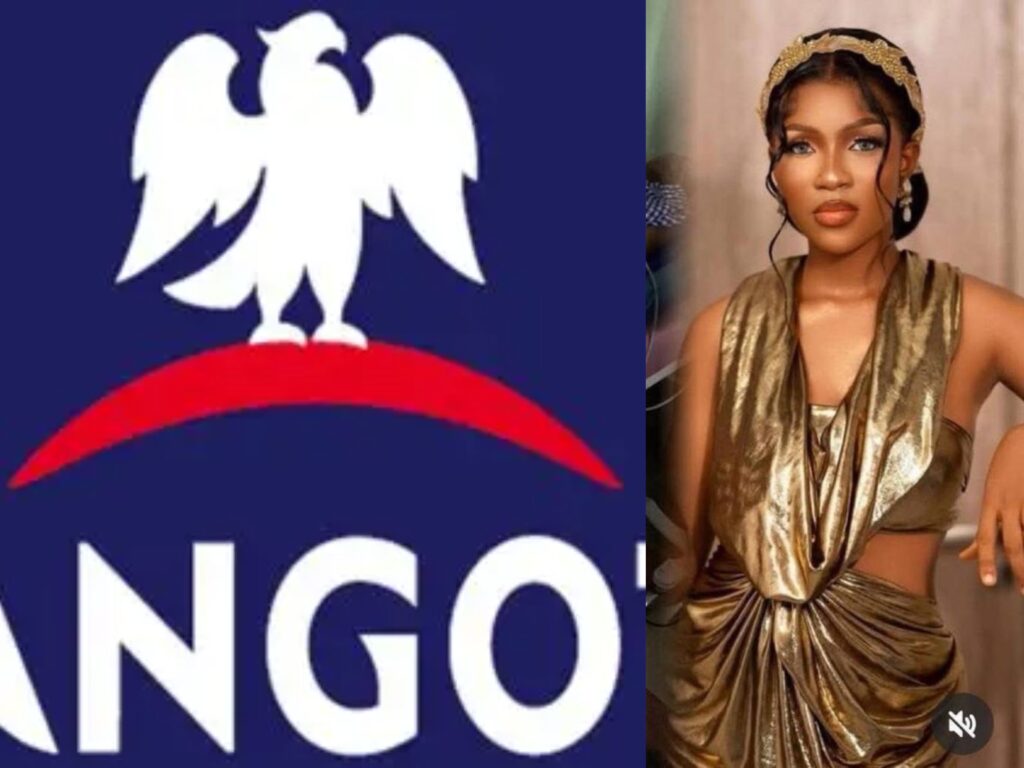 We Had Concluded Arrangements to Fly Phyna’s Sister Out for Medical Treatment Before She Died this Morning- Dangote Group