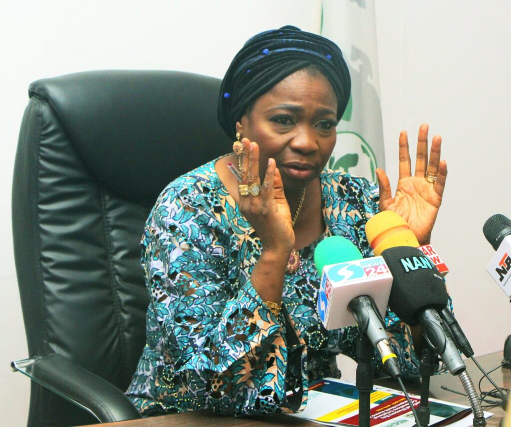 Cross River’s Role in Diaspora Affairs Impressive, Historic – Abike Dabiri-Erewa