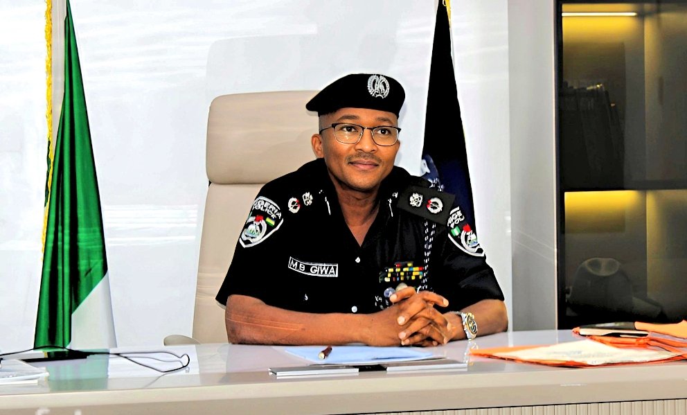 Police Nab Two Suspects, Recover Firearms, Ammunition in Enugu