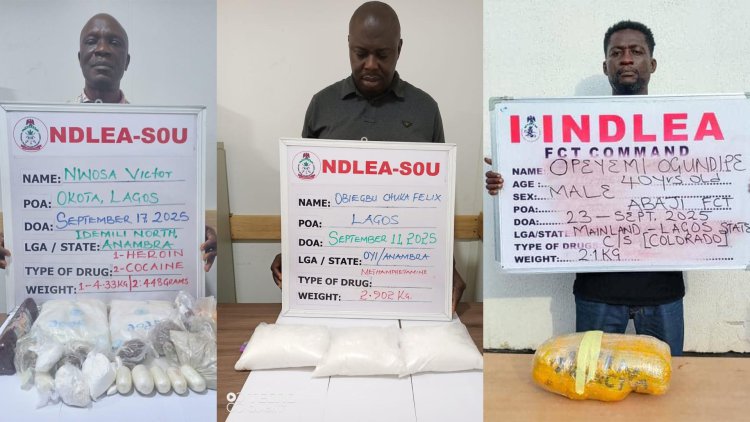 NDLEA Arrests Two Drug Kingpins, Seizes Large Consignments of Cocaine, Heroin, Meth in Lagos