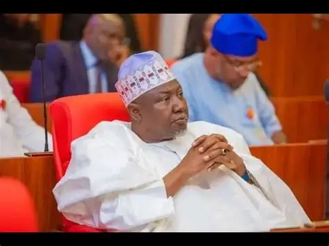 We Know These Bandits, What They Want; Kebbi Lawmaker Says