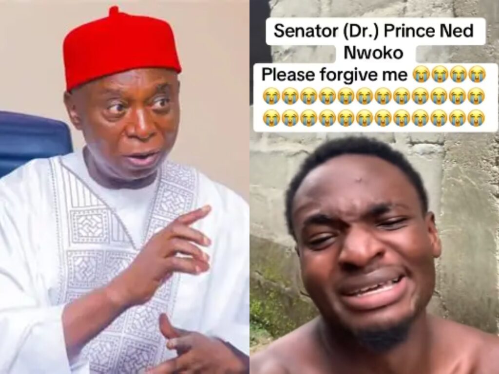 Content Creator who Accused Nwoko of Assassination Plot against Regina Refutes Claim