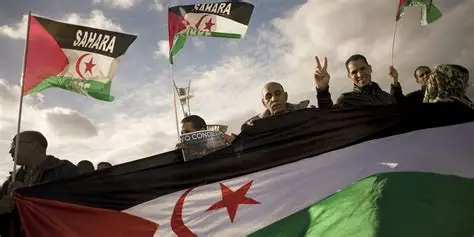 UN Chief Pushes for Complete Decolonisation of Western Sahara, 16 Other Territories