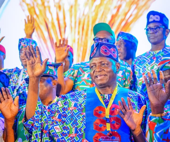 We Will Deepen Internal Democracy; Yilwatda Pledges as APC Re-elect Ex-Minister as National Chairman