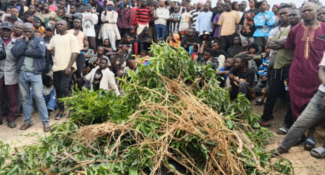 Plateau: Gunmen Kill Three in Fresh Ambush Attack Day After Tinubu’s Visit