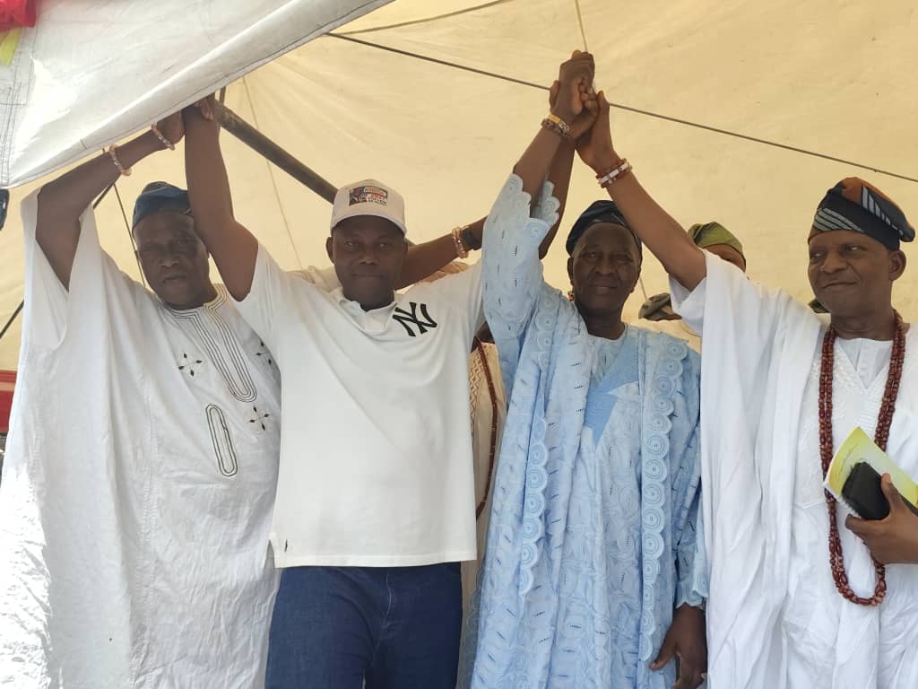 We’ll Work Against APC; Angry Woman Vows Over Allegedly Manipulated Assembly Primaries in Lagos