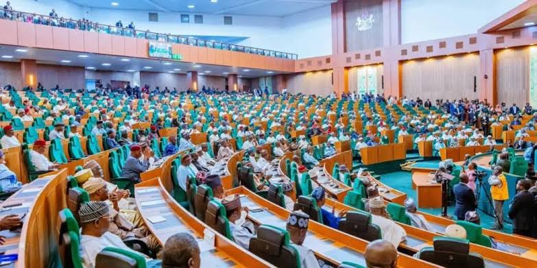 Flush Out Bandits, Kidnappers From Nigeria; Reps Charge Tinubu