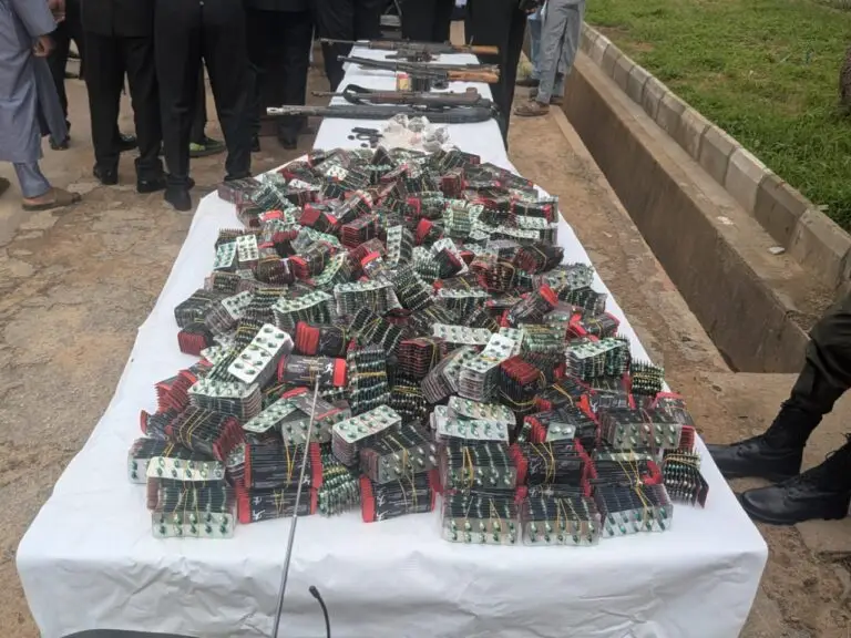 Kaduna Police Arrest 25 Kidnap, Murder Suspects in Two Weeks
