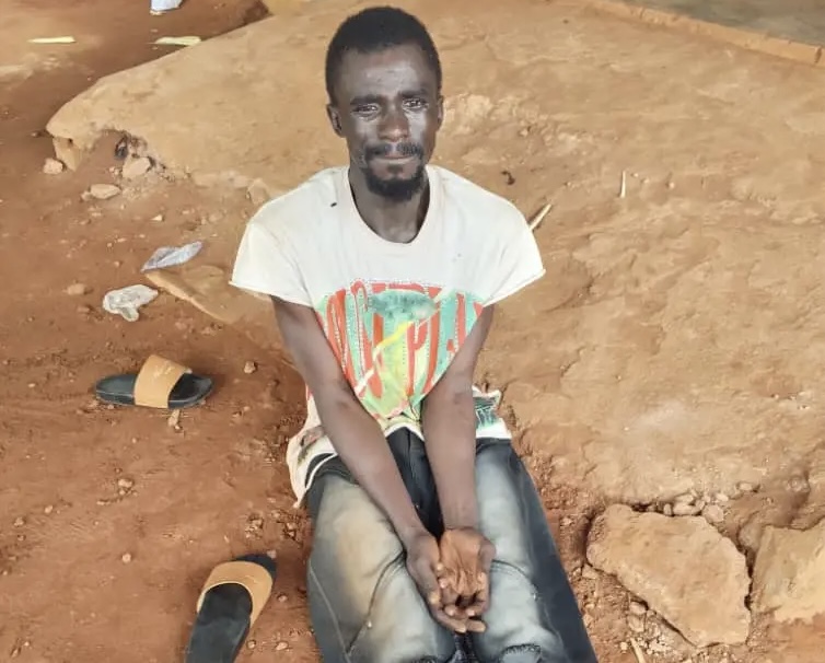 Security Operatives Arrest 400-level PAAU Student Over Alleged Forced Cult Initiation