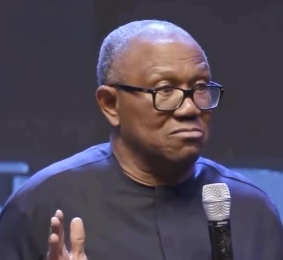 Every Politician Deserves to be in Jail; Obi Says