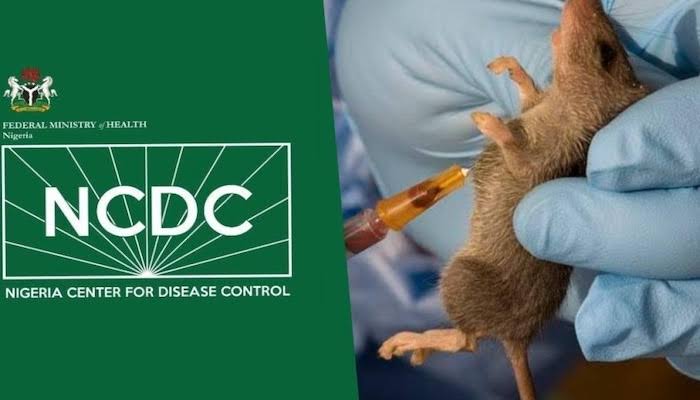 Lassa Fever Claims 214 Lives in Nigeria, Fatality Rate Reaches 25.0%; NCDC Says