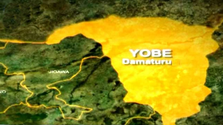 Windstorm Kills Two Minors, Destroys Property In Yobe