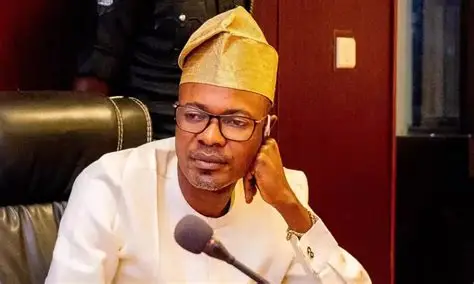 Fake Agency Scandal: Adeyemi Writes Tinubu