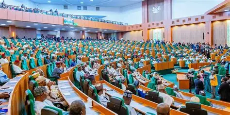 Reps Divide over Motion to Summon Tinubu amid Alleged Non-Funding of Constituency Project