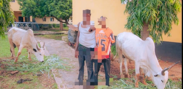 Police Foil Kidnap Attempt, Arrest Two Suspects in Ekiti