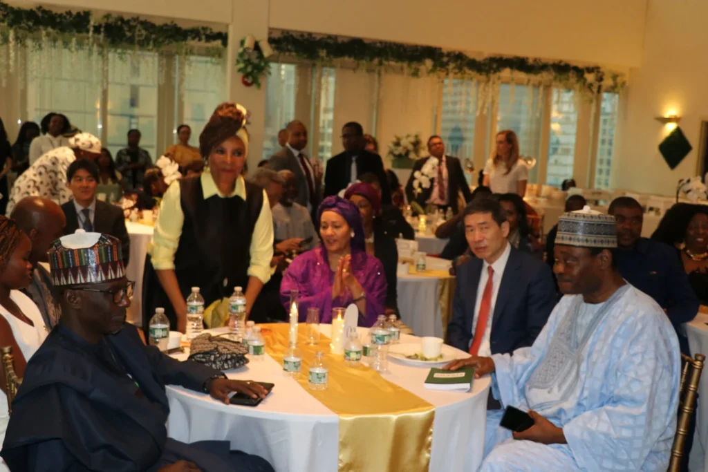 Africa Needs Collaboration, Partnership, Not Aid; Nigerian Envoy, Ibrahim, Says