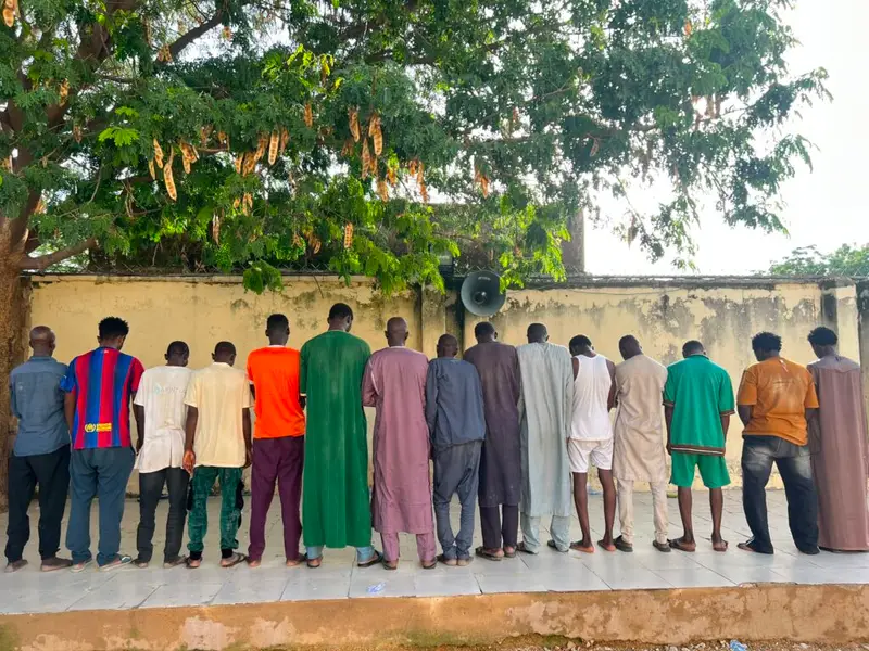 NDLEA Raids Drug Hotspot in Kano