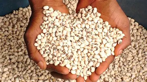Traders, Consumers Seek Alternatives as Beans Price Soars
